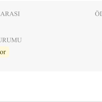 Kargo Gecikmesi Ve Yanıtsızlık Nedeniyle Ücret İadesi Talebi