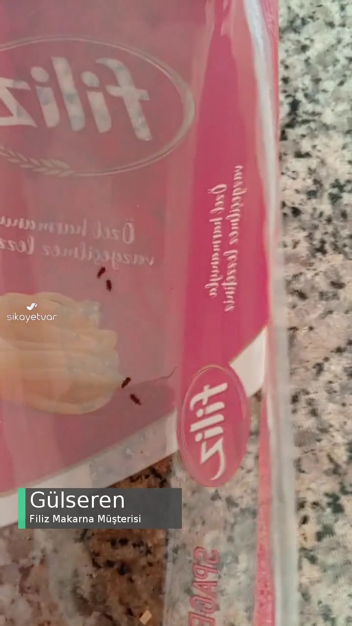Filiz Makarnadan Böcek Çıktı! videonun kapak resmi