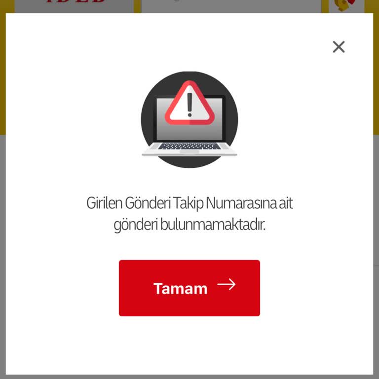 DHL Takip Numarası Bulunamıyor Ve Acil Hidrolik Yağ Gönderisi Gecikiyor