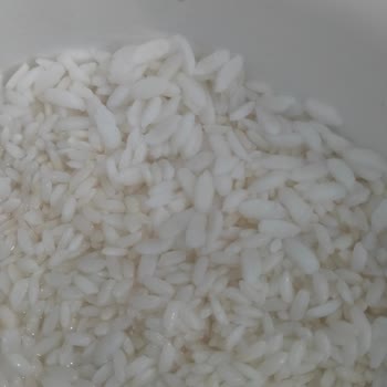 Yayla Osmancık Pirincinde Aşırı Büyük Ve Hamur Gibi Taneler