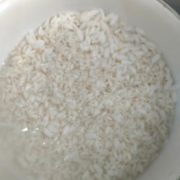 Yayla Osmancık Pirincinde Aşırı Büyük Ve Hamur Gibi Taneler