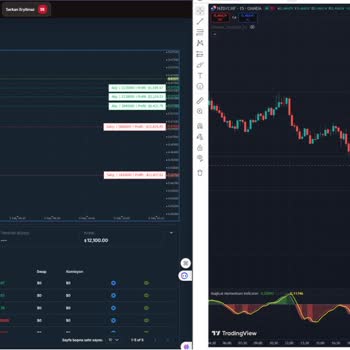 Nerox Invest Refused My Withdrawal After Taking 15,000 USDT