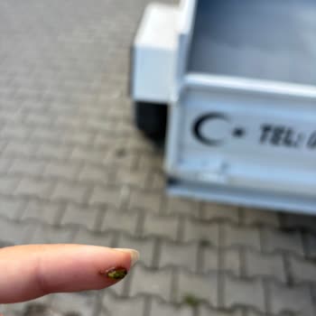 Nescafe Express Şeker İlavesiz Americano’da Böcek Bulunması Ve Hijyen Şikâyeti