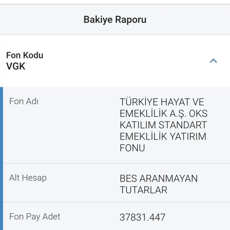 3.000 TL İadem Üç Ay Gecikti, Türkiye Hayat Emeklilik’tan Cevap Yok