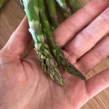 Taze Olmayan Sebze Ve Meyveler, Kırık Paketleme Ve Gecikmeli Teslimat