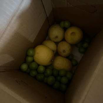 Taze Olmayan Sebze Ve Meyveler, Kırık Paketleme Ve Gecikmeli Teslimat