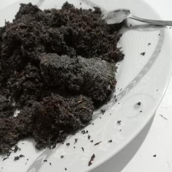 Tomurcuk Çay Paketi Nemli Ve Küflü: Kalite Ve Sağlık Şikayeti