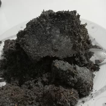 Tomurcuk Çay Paketi Nemli Ve Küflü: Kalite Ve Sağlık Şikayeti