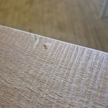 Kelebek Mobilya’da Üçlü Koltuklar Çöktü, Servis 5 Ay Bekletiyor Ve Kalite Kötü