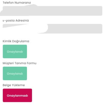 Safebit Borsasında Adres Güncellemesi Onaylanmıyor, Hesap İşlemleri Durduruldu