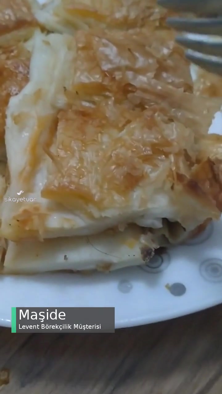 Levent Börekçilik Kıymalı Börekten Kıl Çıktı! videonun kapak resmi