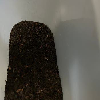 Karali Çay Çaydan Çok Çöp Olduğunu Fark Ettim