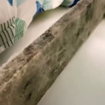Koltuk Takımında Kısa Sürede Küflenme Ve Şikayetlere Cevap Almama