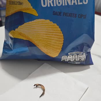Migros’ta Satın Alınan Ruffles Çipinde Yabancı Cisim Ve Hijyen Sorunu