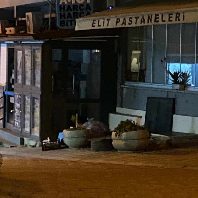 A101 Şubesinin Çöp Sorunu Sokak Köpeklerine Zarar Veriyor