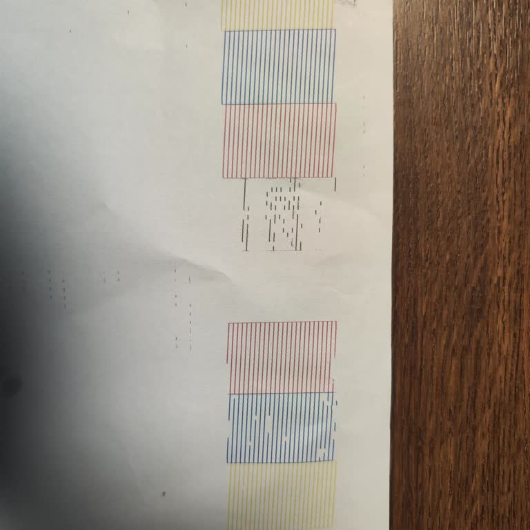 Epson L6570 Mürekkep Tıkanıklığı Ve Garanti Şartları Üzerine Şikayet