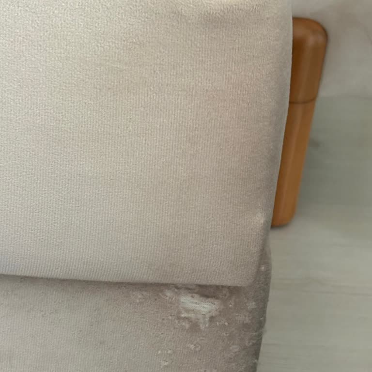 Kedi Dostu Kumaş İddiası Yanıltıcı, Koltuk 8 Ayda Yırtıldı Ve Firma Kullanıcı Hatası Diyor