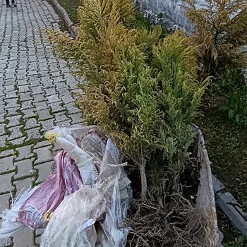 Gül Botanik | İzmir Yanlış Ve Eksik Ürün, Aşırı Kargo Ücretleri Ve Ciddiyetsiz Tutum
