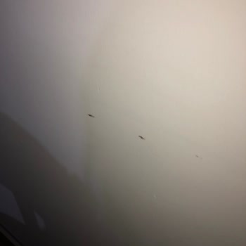 Defolu Ürünler Ve Cevapsız Müşteri Desteği