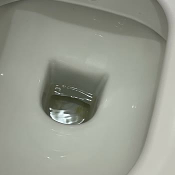 Vitra S55 Klozette Temizlik Sorunu Ve Sürekli Leke Şikayeti