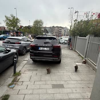 Kadıköy’de Oto Yıkama İşletmeleri Kaldırımı İşgal Ediyor, Yayalar Güvenliği Tehlikede