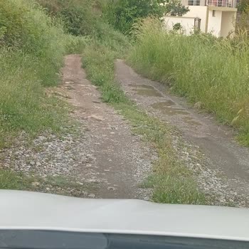 Müftüler Mahallesi 3110. Sokakta Yabani Otların Kesilmesi Ve Temizlik Talebi