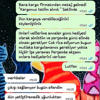 Aynı Gün Kargo Taahhüdünün İhlali Ve Teslimat Gecikmesi