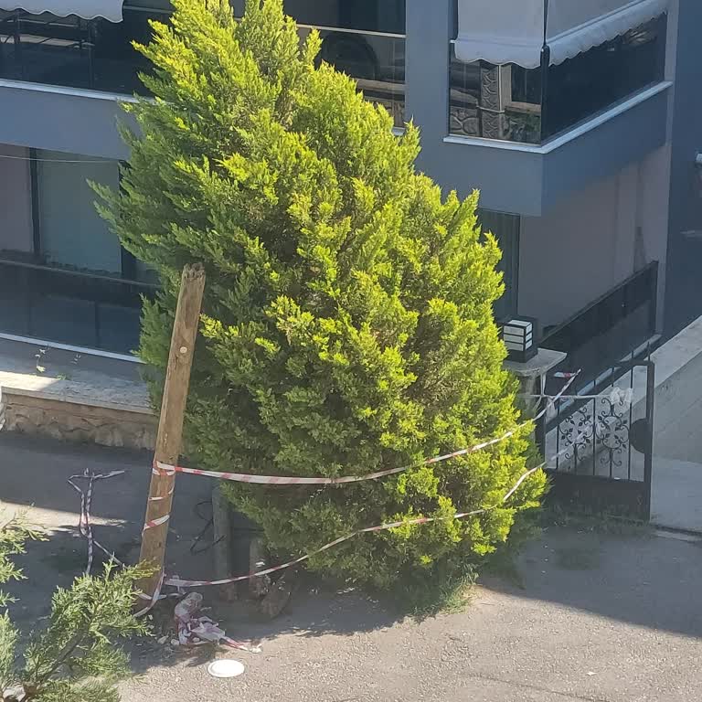 İnternet Direği Çöktü, 4 Gün Kesinti Ve Müşteri Hizmetlerinin Sözünü Tutmaması
