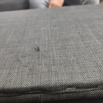 Mygusi'den Ayıplı Bankalar Ve Kargo Personelinin Hakaretli Davranışı