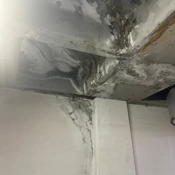 Kapalı Otopark Tavan Sızıntısı Ve Kireç Lekesi Nedeniyle Araçta Oluşan Hasar