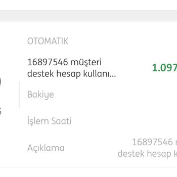 ING Bank Troy Kart İade Gecikmesi Ve Müşteri Hizmetlerine Ulaşılamaması
