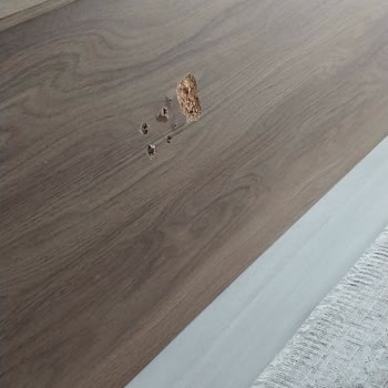 Doğtaş Mobilya Teslim Edilmeyen Masanın Parası İade Edilmiyor, Ayıplı Konsol Değiştirilmiyor