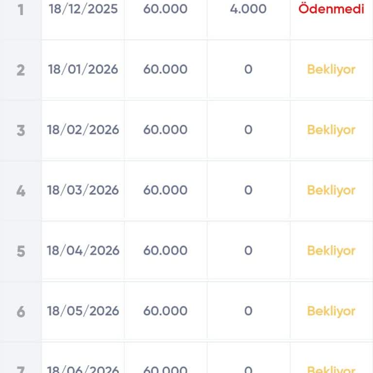 Fuzul Ev Sisteminde 60.000 TL'lik Ödeme Kayıt Hatası Ve Çözüm İsteği
