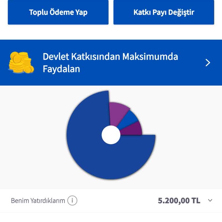 Yüksek Kesintiler Nedeniyle Ana Paranın Tamamen Alınması Ve Bilgilendirme Eksikliği