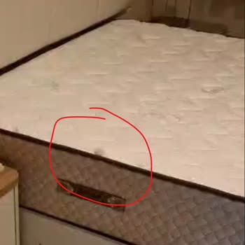 Düğün Paketi Teslimatında Eksik Sandalyeler, Kırık TV Ünitesi Ve Hatalı Montaj