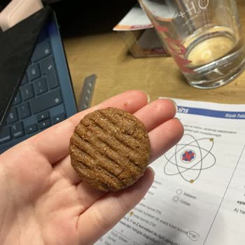 Yanık Görünümlü Ve Tadı Kötü Eti Burçak Kurabiyesi
