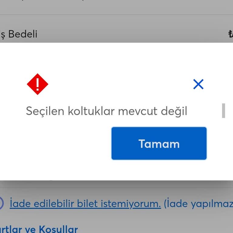 Biletix'ten Şebnem Ferah Konseri Bileti Alımında Teknik Hata Ve Bilgilendirme Eksikliği