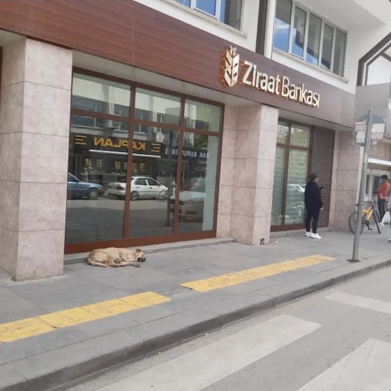 ATM'den Yatırılan 59.900 TL Hesaba Geçmedi Acil Çözüm Talebi