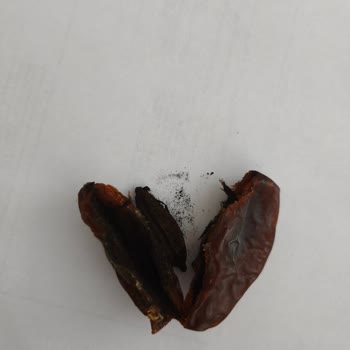 BİM'den Aldığım Hurmalarda Küflenme Ve Kurtlanma