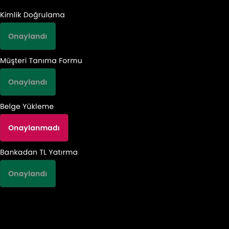 Safebit'te Doğrulama Sorunu Ve Belge Yükleme Kapalı Olması