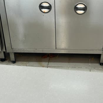 Akasya Popeyes Şubesinde Hijyen Sorunu Ve Temizlik Eksikliği