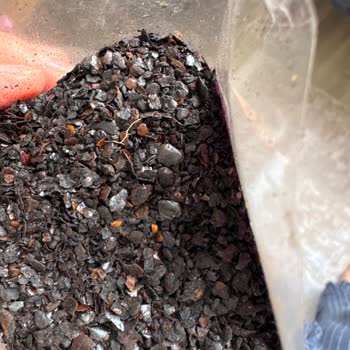 File Market’ten Aldığım Harras Isot Ürünü Gerçek Olmadı Ve Çiğköfteyi Mahvetti