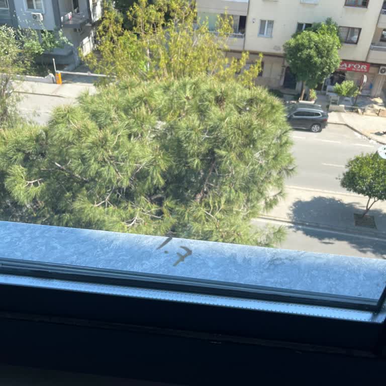 Camlar Arasındaki Rakam Sorunu Acil Keşif Gerekiyor
