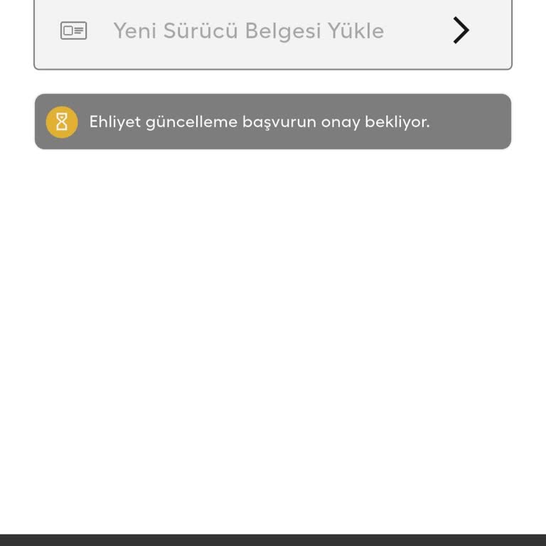 Ehliyet Ve Araç Bilgilerimin Onay Sürecindeki Gecikme