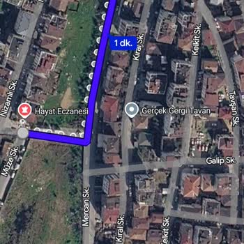 Mercan Sokak'ta Aşırı Otlar Nedeniyle Acil Ot Biçme Ve Pest Kontrolü Gerekiyor