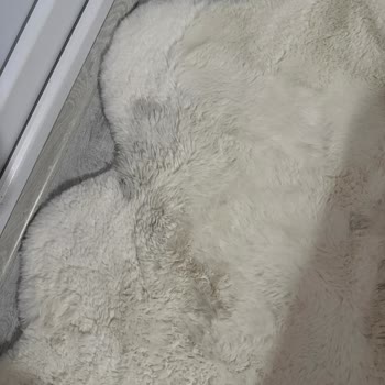 Arçelik Servisi Çamaşır Makinesi Sorununu Çözmedi, Halılarıma Zarar Verdi