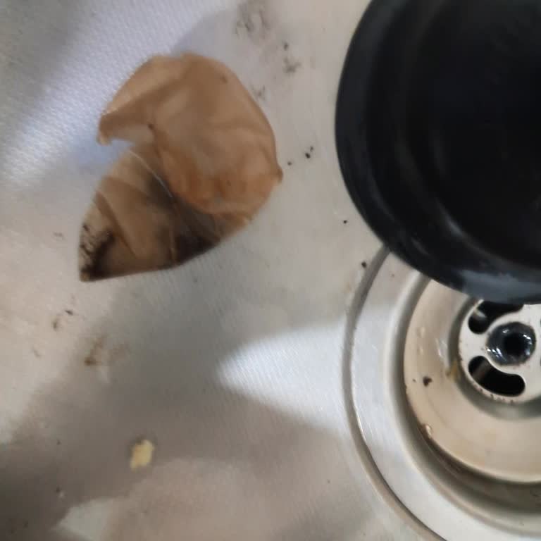 Demlikte Yırtılan Çay Poşetleri, Kalite Sorunu Ve İade Talebi