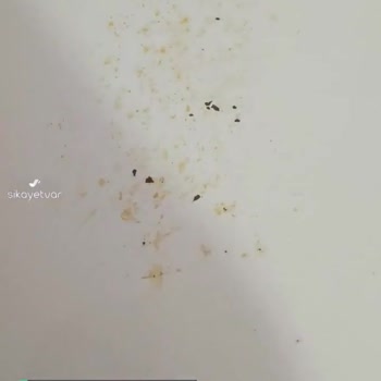 Şenocak Derin Dondurucu 1 Senede Çürüdü, Kalitesiz Malzeme!