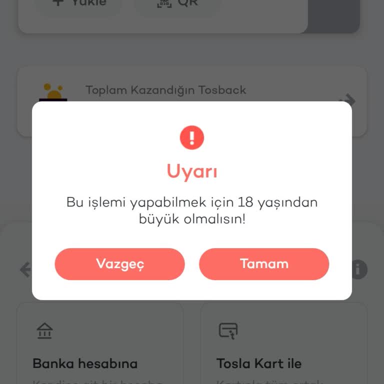 Tosla Hesabım Uyarı Yapılmadan Kısıtlandı, 738,93 TL’ye Erişemiyorum