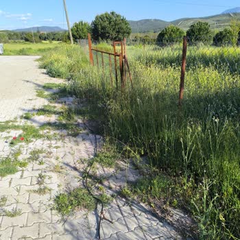 Kablomuz Koptu, 22 Gün Süreyle İnternet Kesintisi Ve Hiç Ekip Gelmedi
